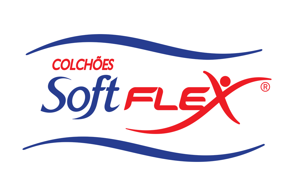 SOFTFLEX - Programa de Desenvolvimento de Fornecedores do Maranhão - PDF